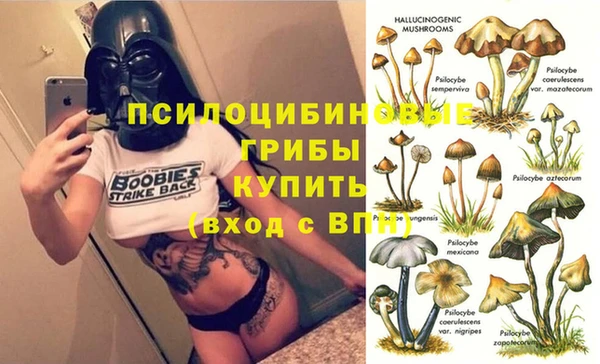 соль ск Арсеньев