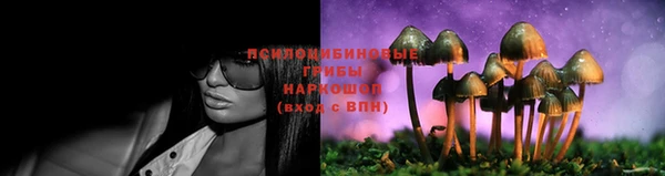 соль ск Арсеньев