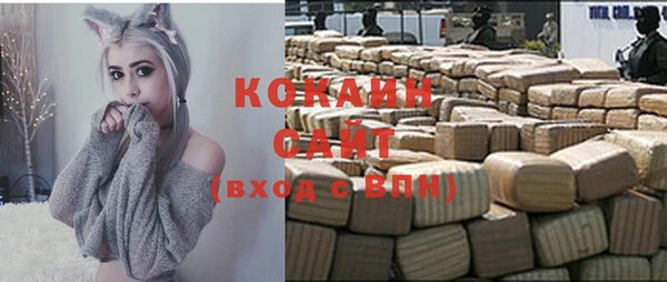 соль ск Арсеньев