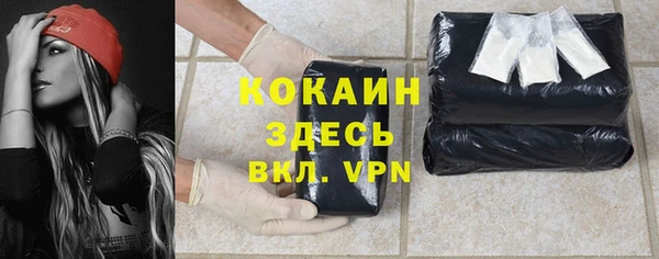 соль ск Арсеньев