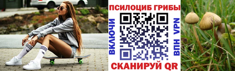 Псилоцибиновые грибы MAGIC MUSHROOMS  omg онион  Сердобск 